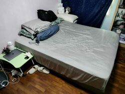 Blk 466C Spring Lodge (Sembawang), HDB 4 Rooms #459653941